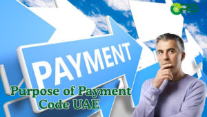 purpose of payment code uae