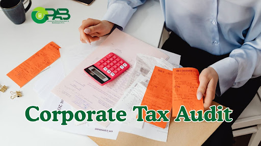 corporate tax audit