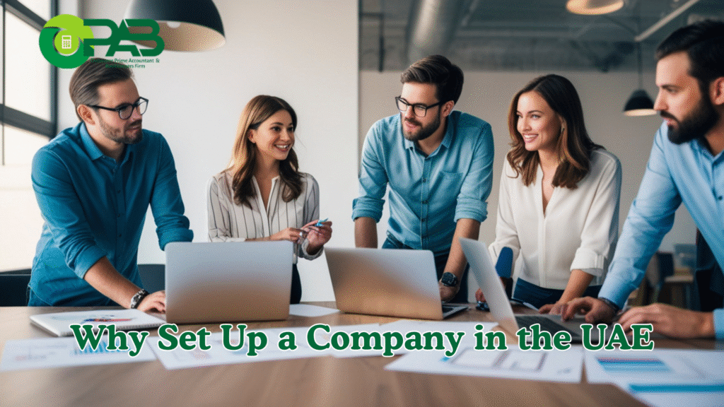Why Set Up a Company in the UAE